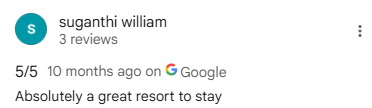 Google Review